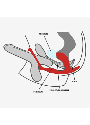 Analsex - Fun Factory - Bootie Ring Lovering with Butt Plug Slate - bilde 4