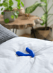 Analsex - We-Vibe Vector + blå prostatavibrator - bilde 17